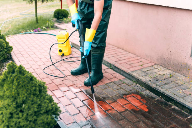 Professional  Pressure Washing in Hollywood, FL